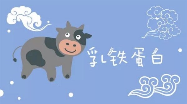 進(jìn)口乳鐵蛋白粉報(bào)關(guān)注意事項(xiàng)以及中文標(biāo)簽必須注明內(nèi)容 進(jìn)口乳鐵蛋白報(bào)關(guān)