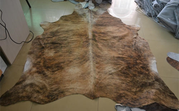 【進口牛皮清關代理】流程步驟是這樣的 進口牛皮清關代理