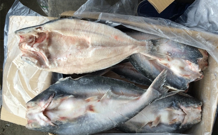 進口巴沙魚清關(guān)代理一點都不難，只要你準備好這些資料