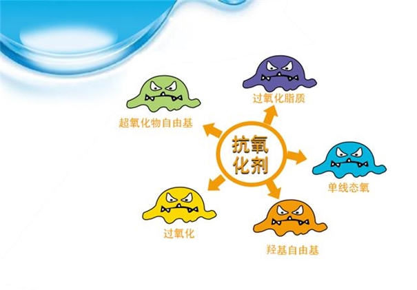 抗氧化劑進(jìn)口報關(guān)流程手續(xù)經(jīng)驗豐富 抗氧化劑進(jìn)口報關(guān)_副本.jpg