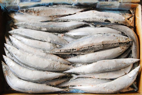 1630665354483091.jpg 進(jìn)口冷凍水產(chǎn)品報關(guān)_副本.jpg