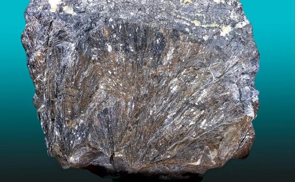 1635848998993213.jpg 進口鋅礦清關代理的注意事項_副本.jpg