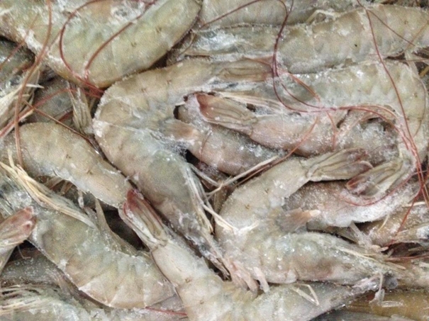 1638359054423181.jpg 冷凍水產(chǎn)品進口清關(guān)資料簡介_進口水產(chǎn)品標(biāo)簽問題_副本.jpg