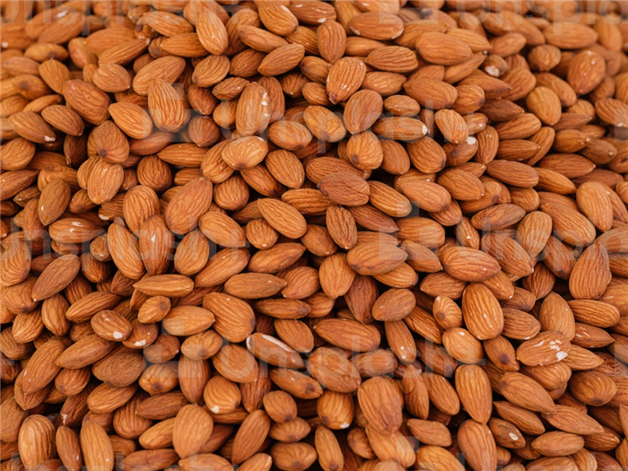 1671703919477647.png 美國杏仁進口報關流程.png