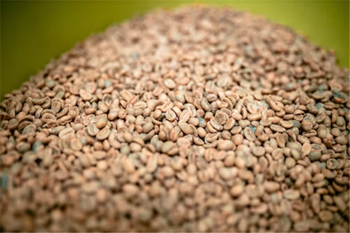 1675412015108923.png 咖啡生豆進口關稅.png