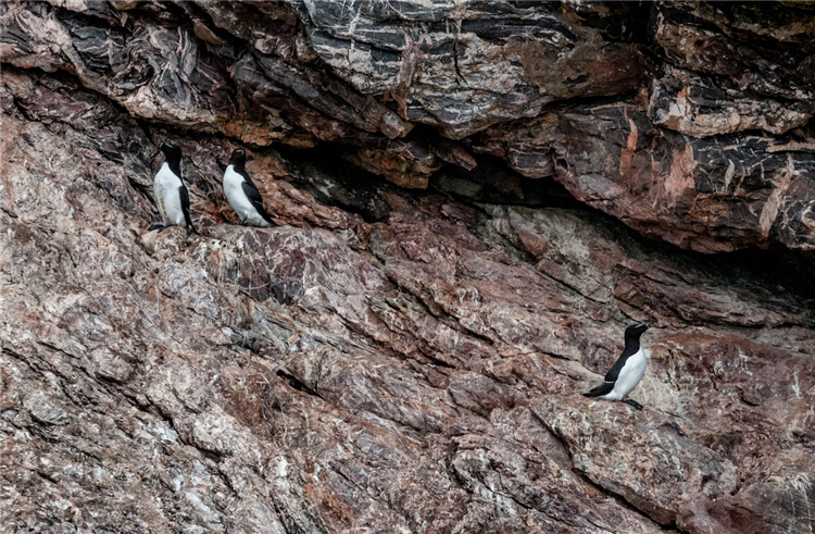 1681210468228244.png 銻礦石進口報關(guān)公司.png