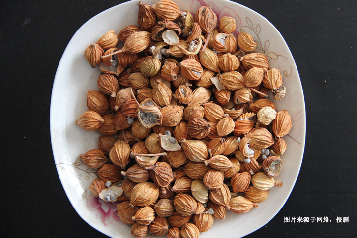 德國(guó)豆蔻進(jìn)口報(bào)關(guān)流程 德國(guó)豆蔻進(jìn)口報(bào)關(guān)流程