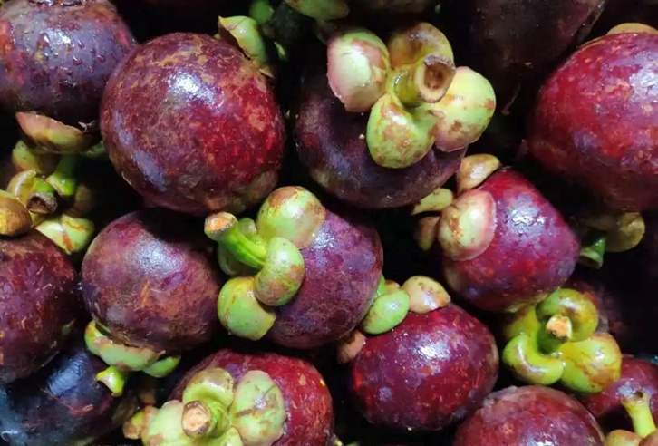 越南山竹進口清關費用 越南山竹進口清關費用