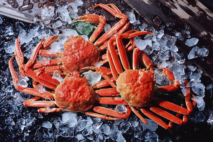 廣州機(jī)場(chǎng)進(jìn)口斯里蘭卡螃蟹報(bào)關(guān)費(fèi)用 廣州機(jī)場(chǎng)進(jìn)口斯里蘭卡螃蟹報(bào)關(guān)費(fèi)用